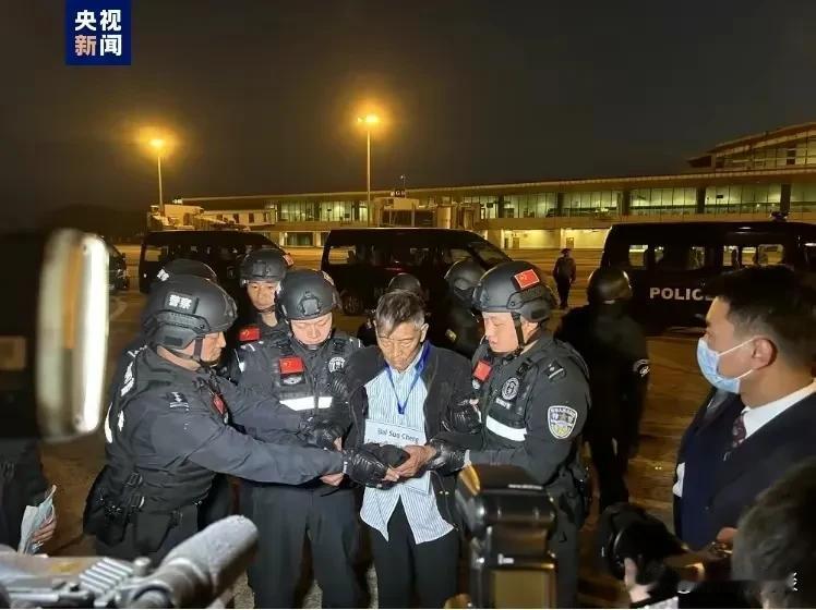 白所成等犯罪嫌疑人押解照片曝光：瞬间苍老了十多岁，没有过去那种意气风发，威风凛凛
