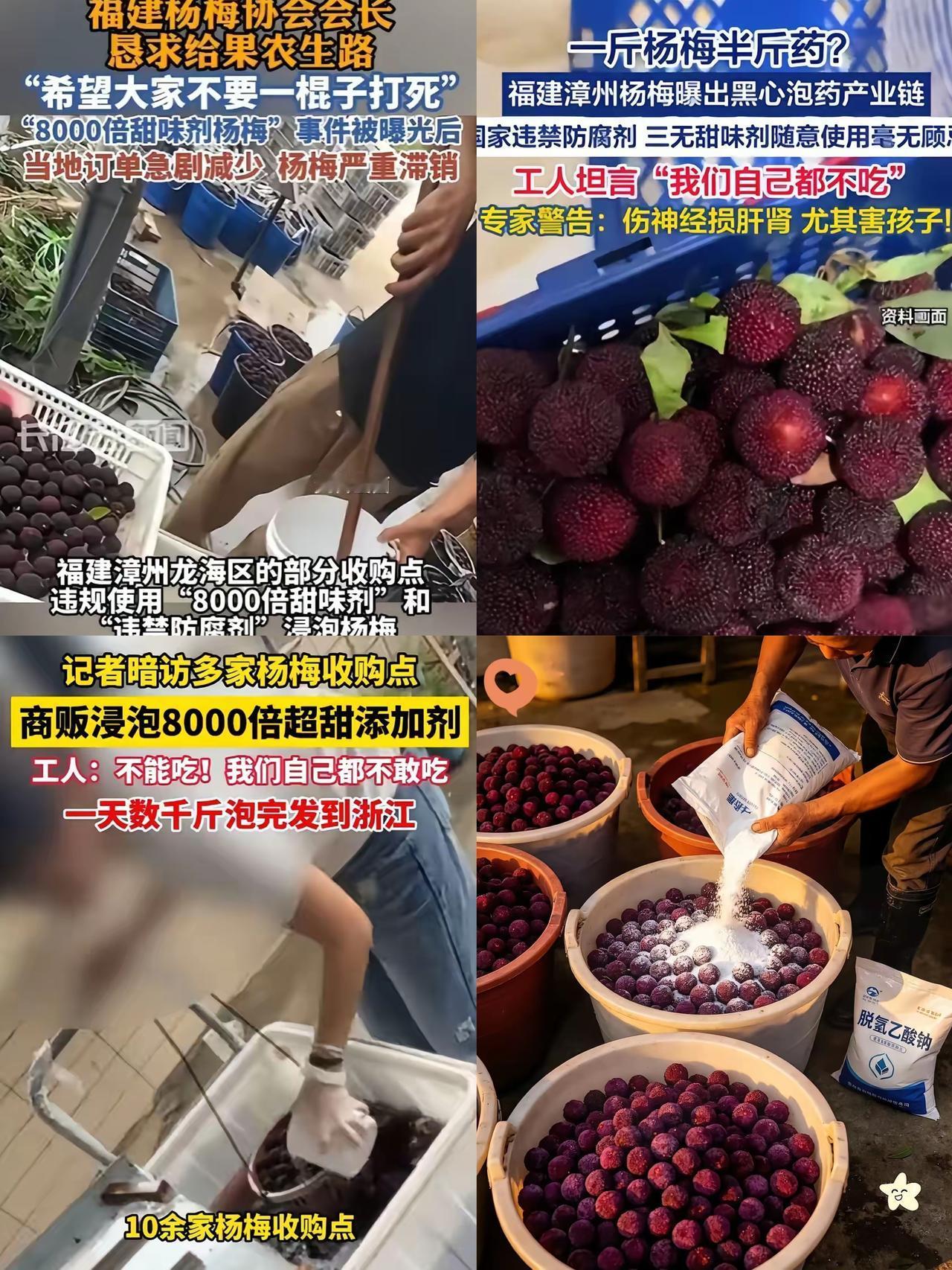 别再被忽悠了！杨梅商贩全喊着自家果子不打药不泡药水，可当初被曝光的违规老板，此前