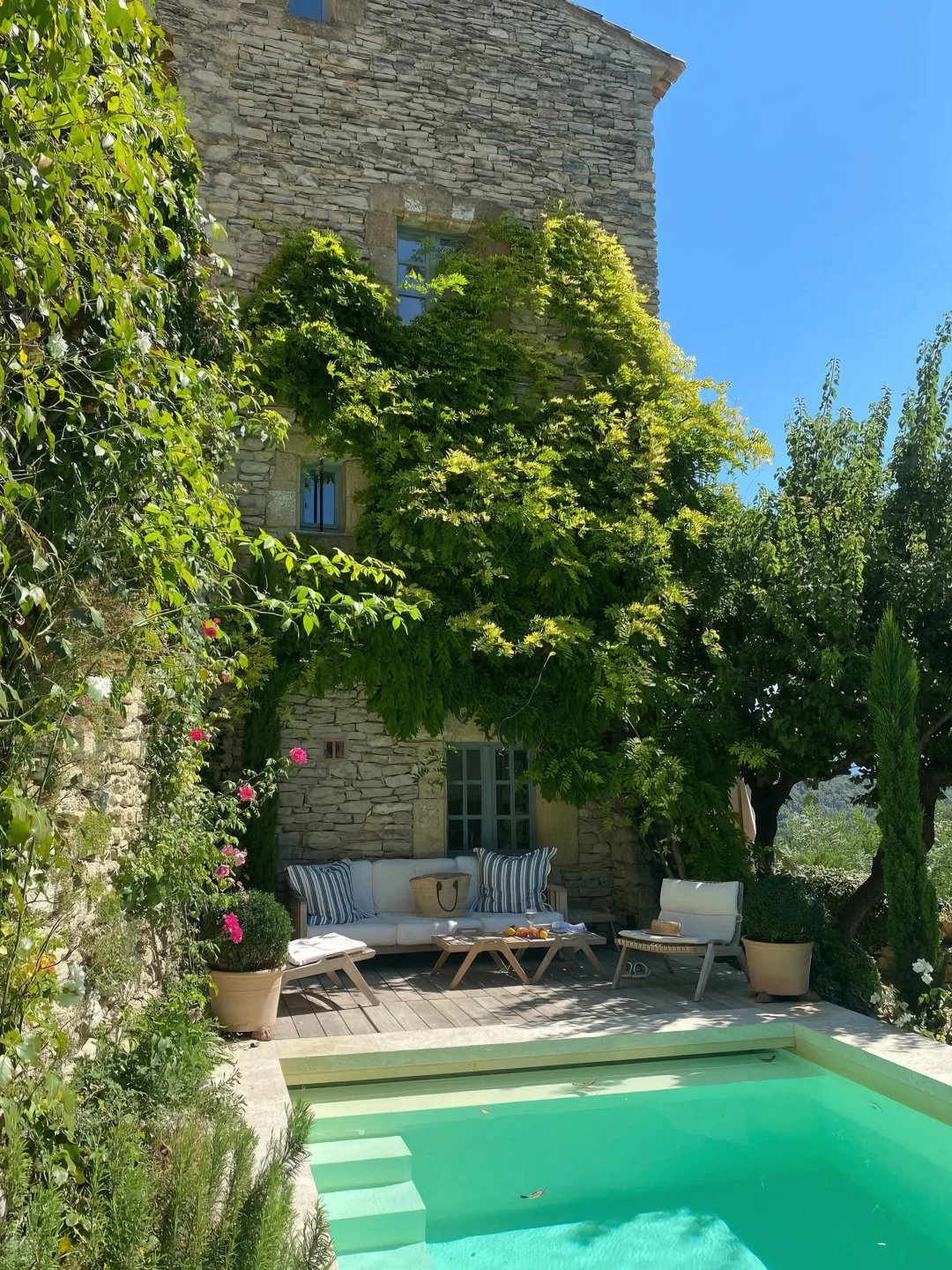 南法普罗旺斯💐Airbnb！好像德雷尔一家！