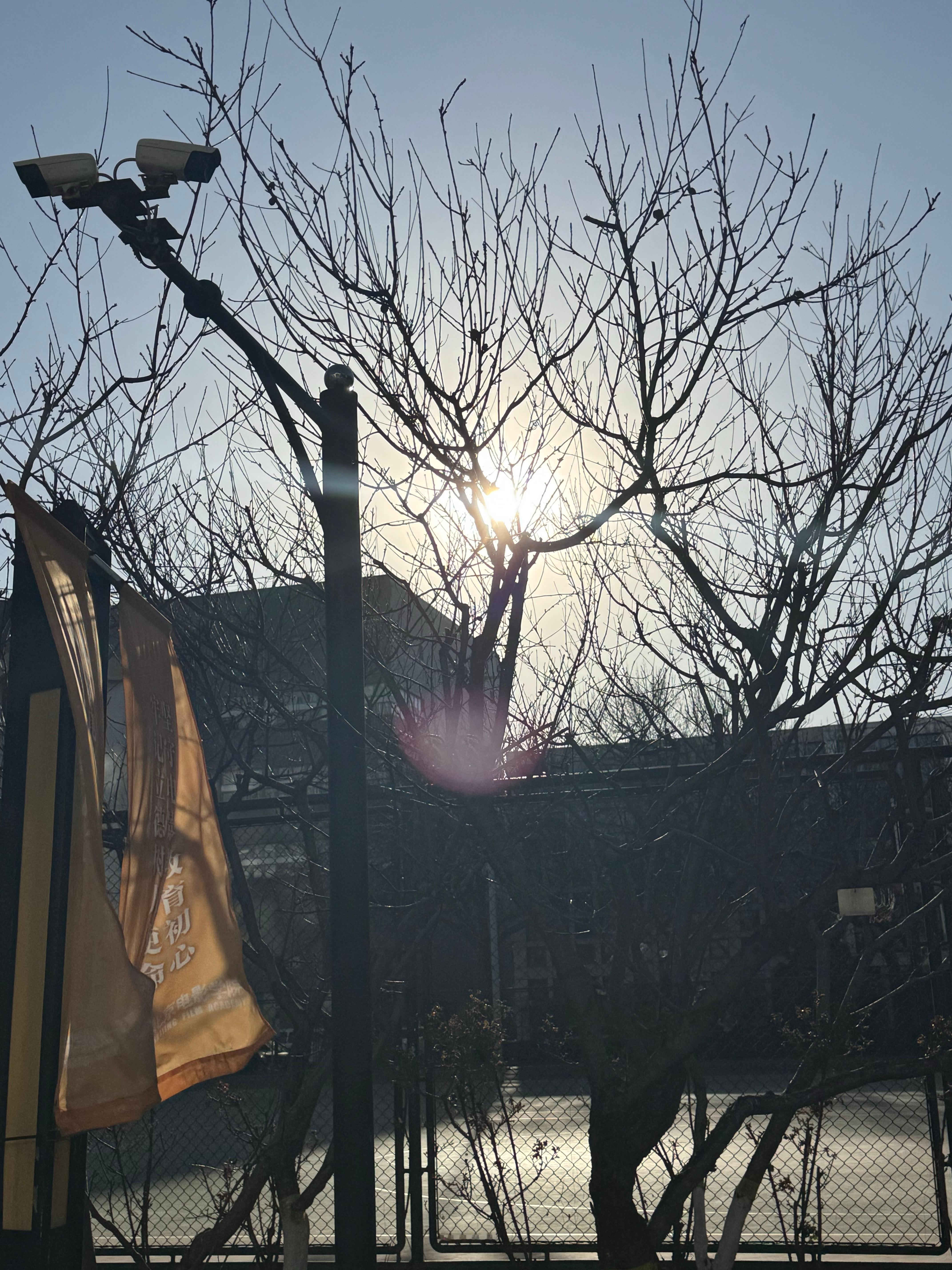 这几天天气都好好啊☀️ ​​​