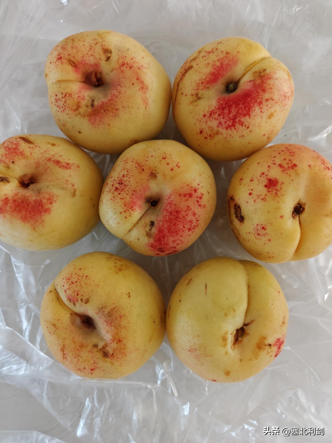 今天从宣化早市上买了点香白杏，贼好吃，个还大。还是在大新门以北的早市上。有个男子
