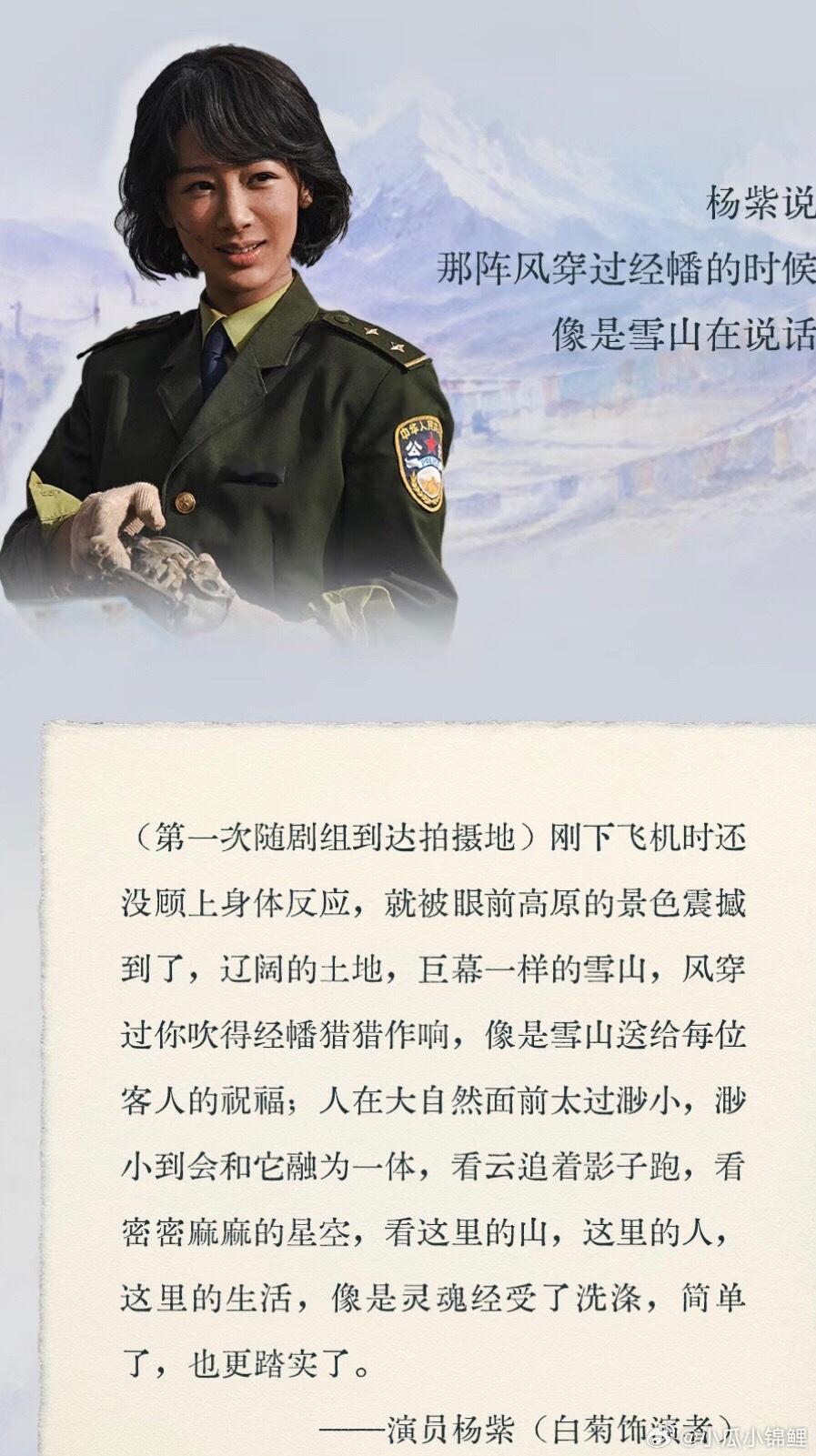 杨紫生命树夯杨紫白菊牛 