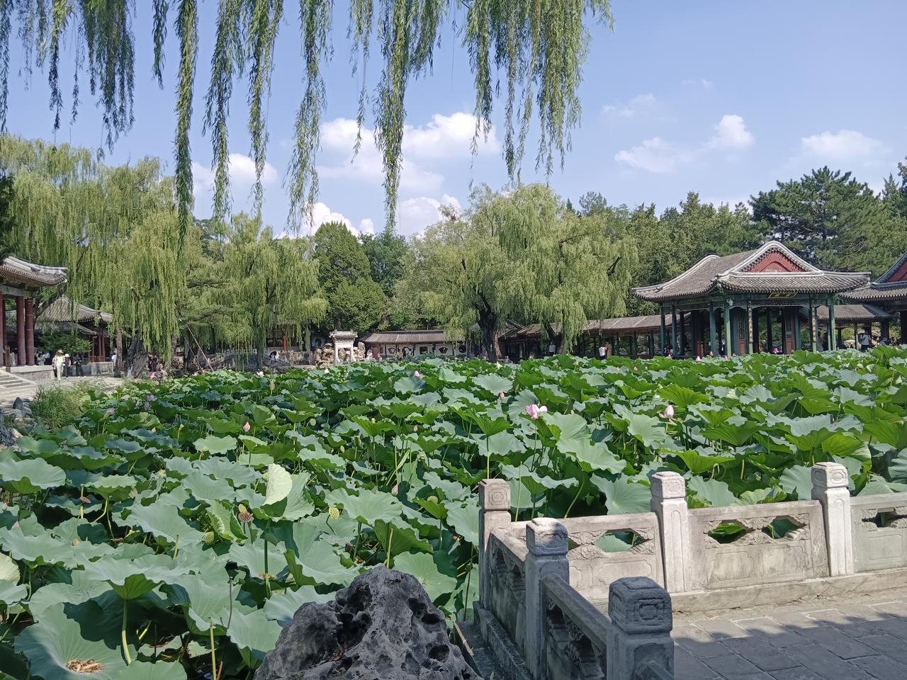 闲来无事立城楼，夏尾入夜风已秋。
为筹​房贷归来晚，不眠又作明日谋。
     