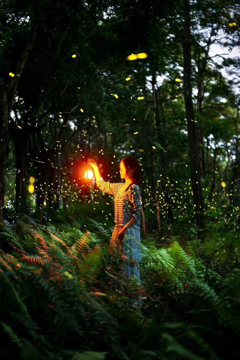 上联：老木工抬杠，
下联：萤火虫扑烛。