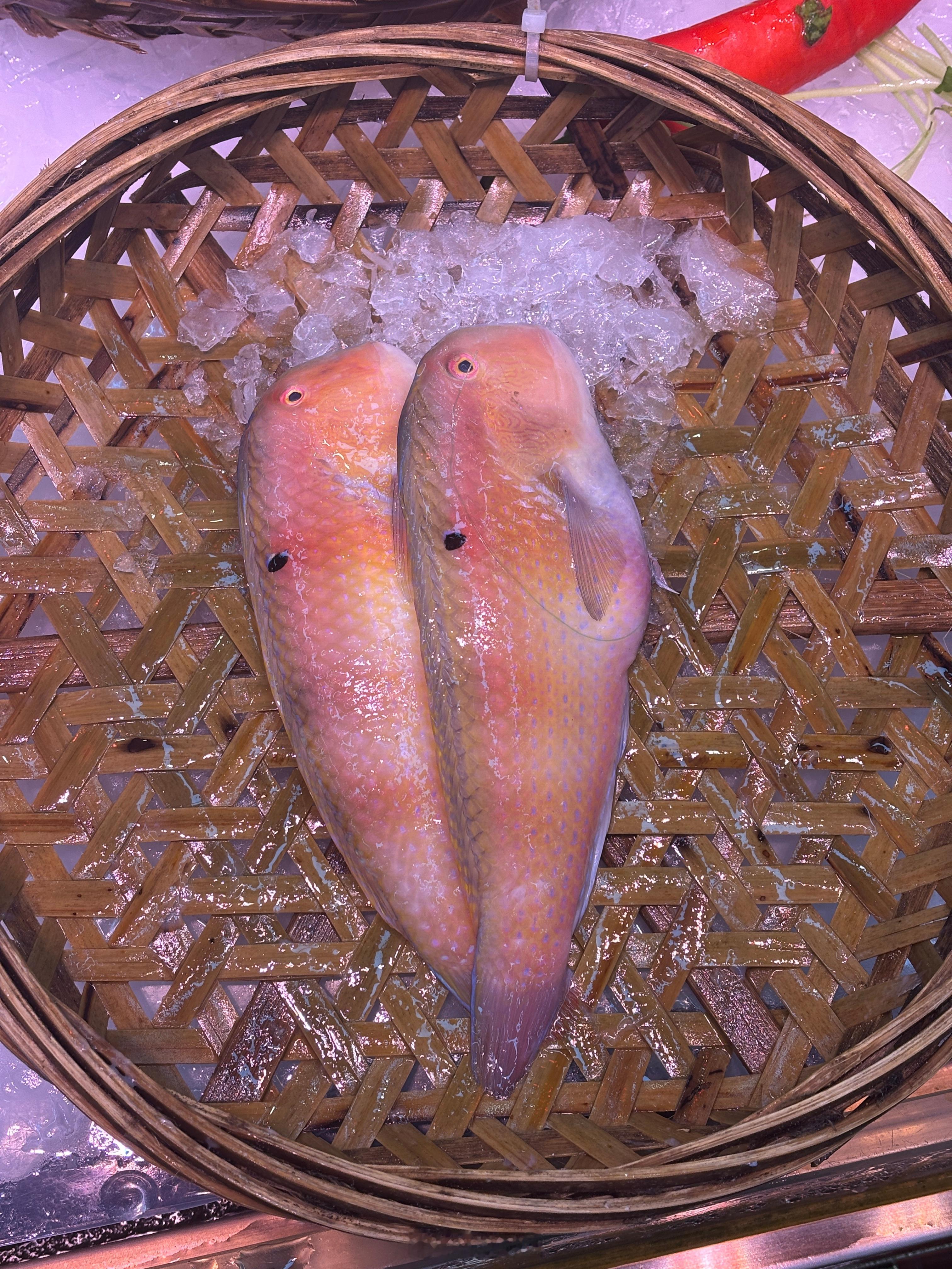这都啥鱼啊？ ​​​