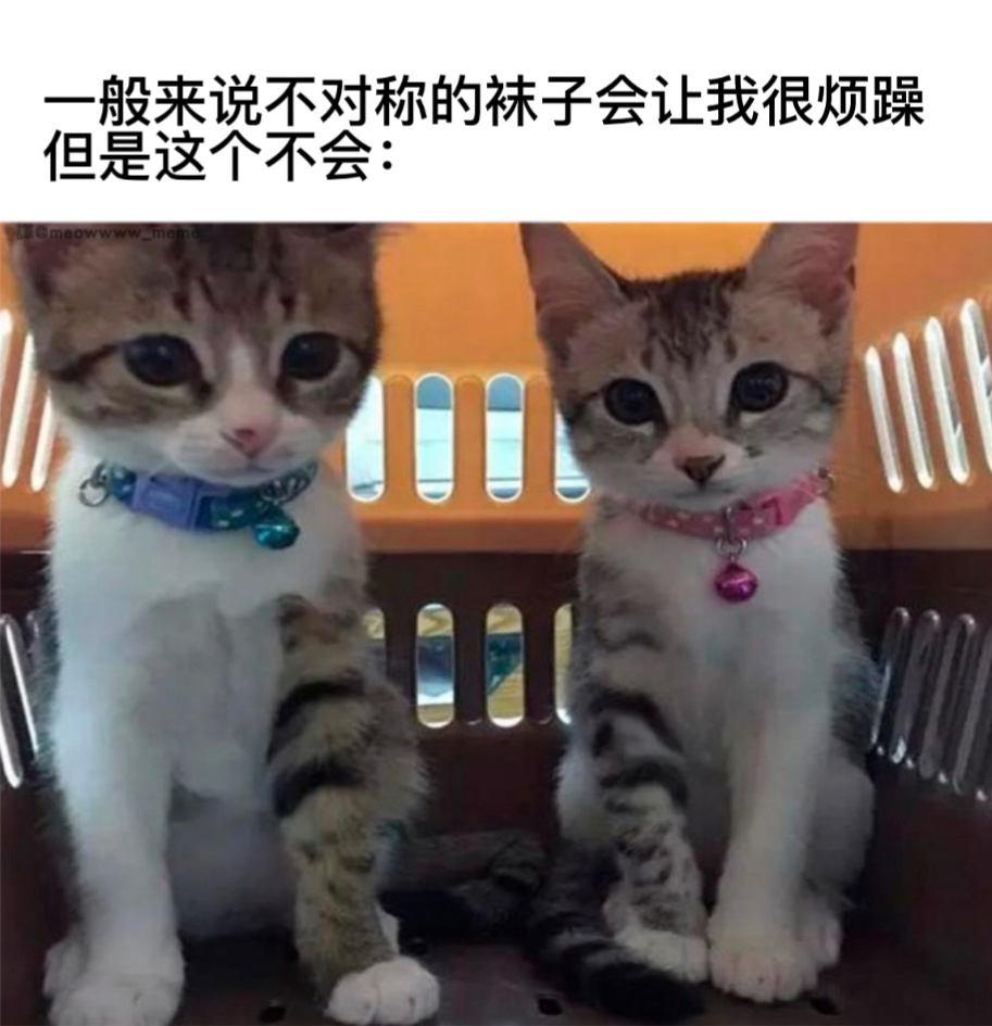 这个很合适#今日memes# ​​​