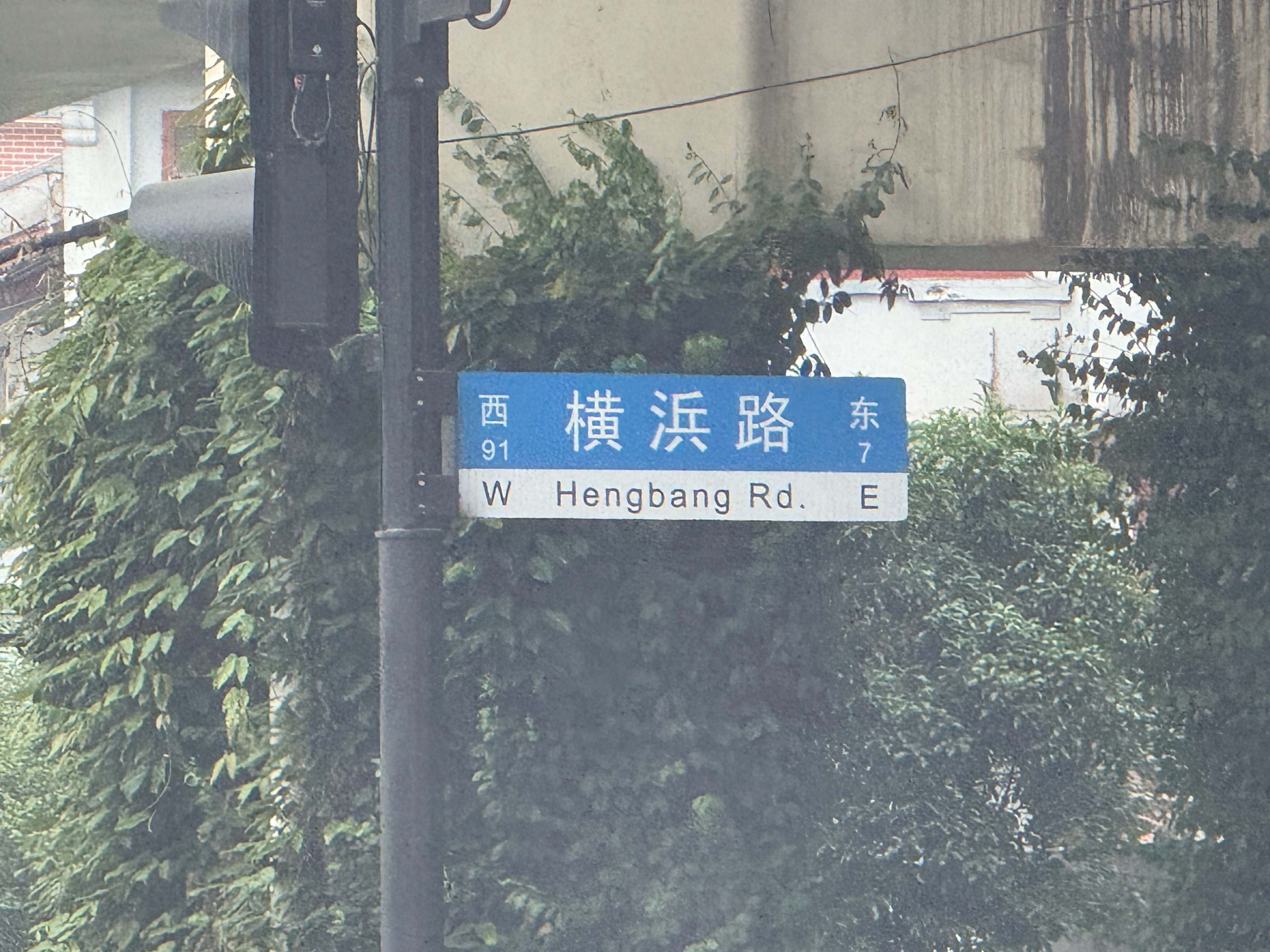 优科豪马路 