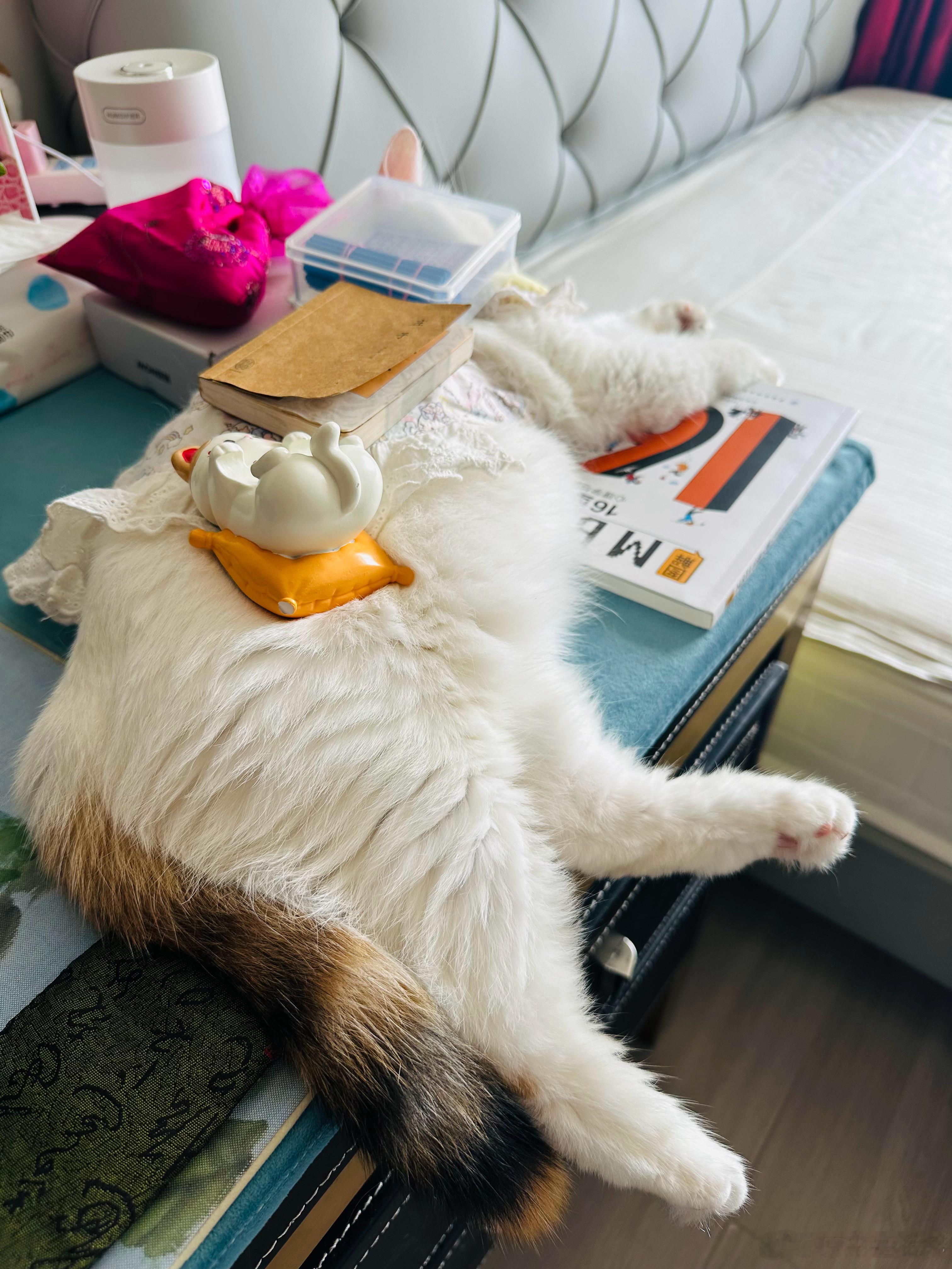 ‌天道亏盈而益谦，地道变盈而流谦。 ​​​