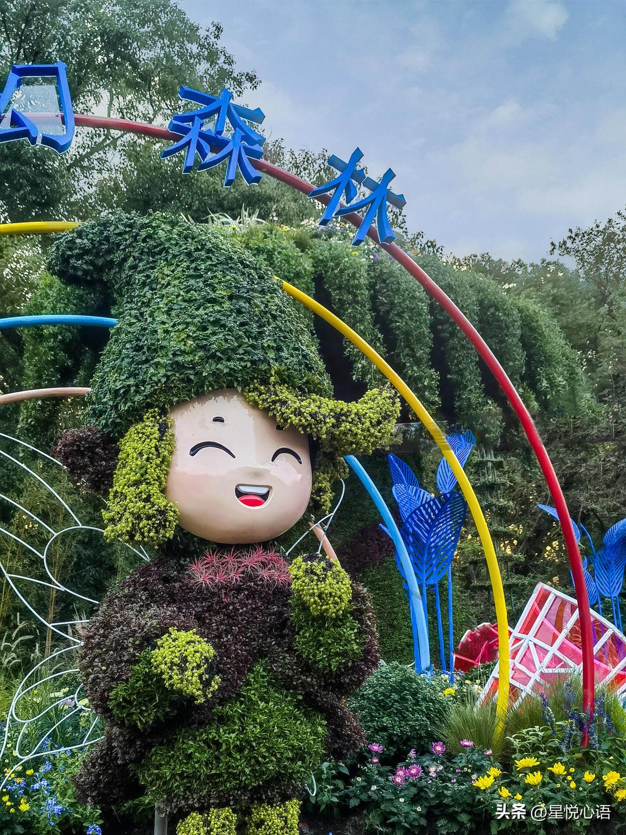 魔都秋日必冲！
上海菊花展开幕倒计时

宝子们！盼到啦！
2025上海菊花展
本