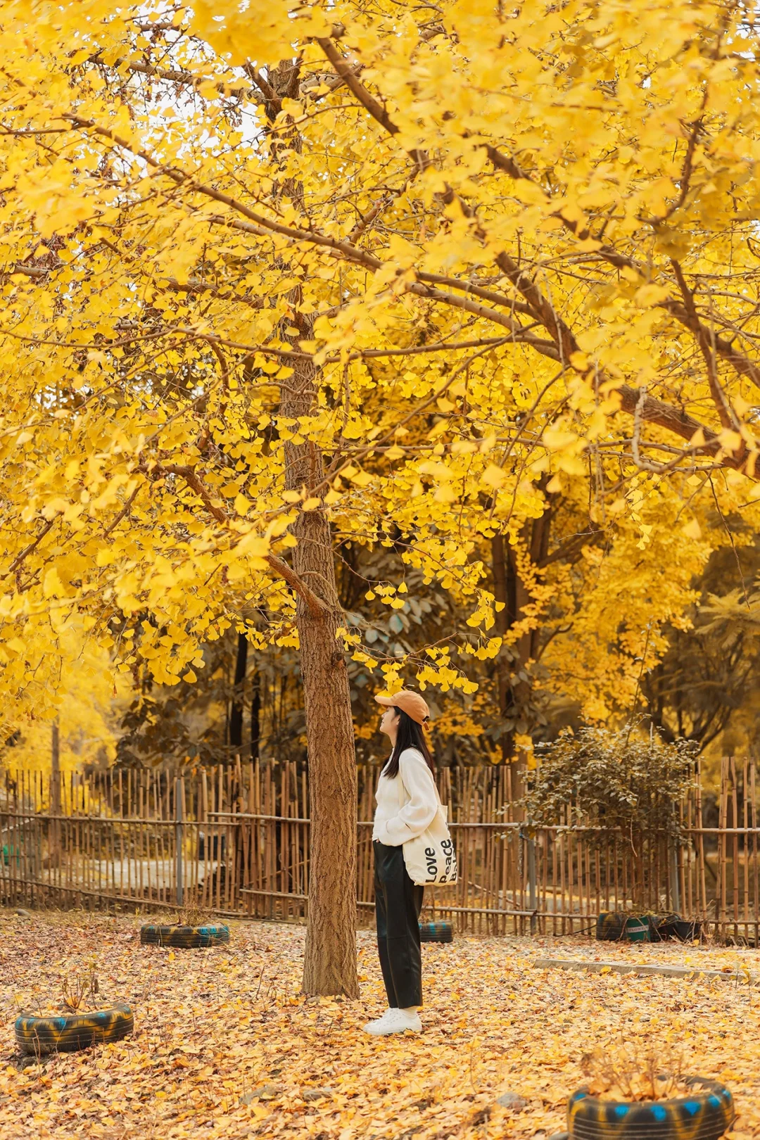 已经开始期待成都如画般的秋天了🍂附地址~