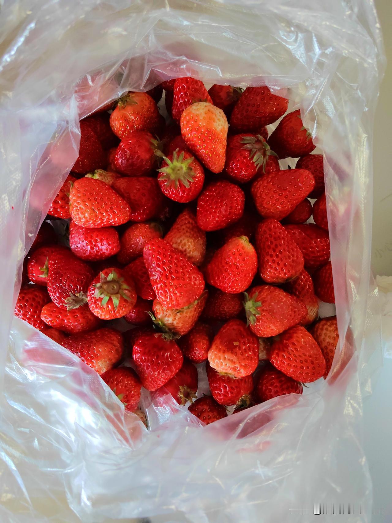 草莓，成了白菜价！

见过便宜的，没见过这么便宜的！

早市上，新鲜的久久草莓，