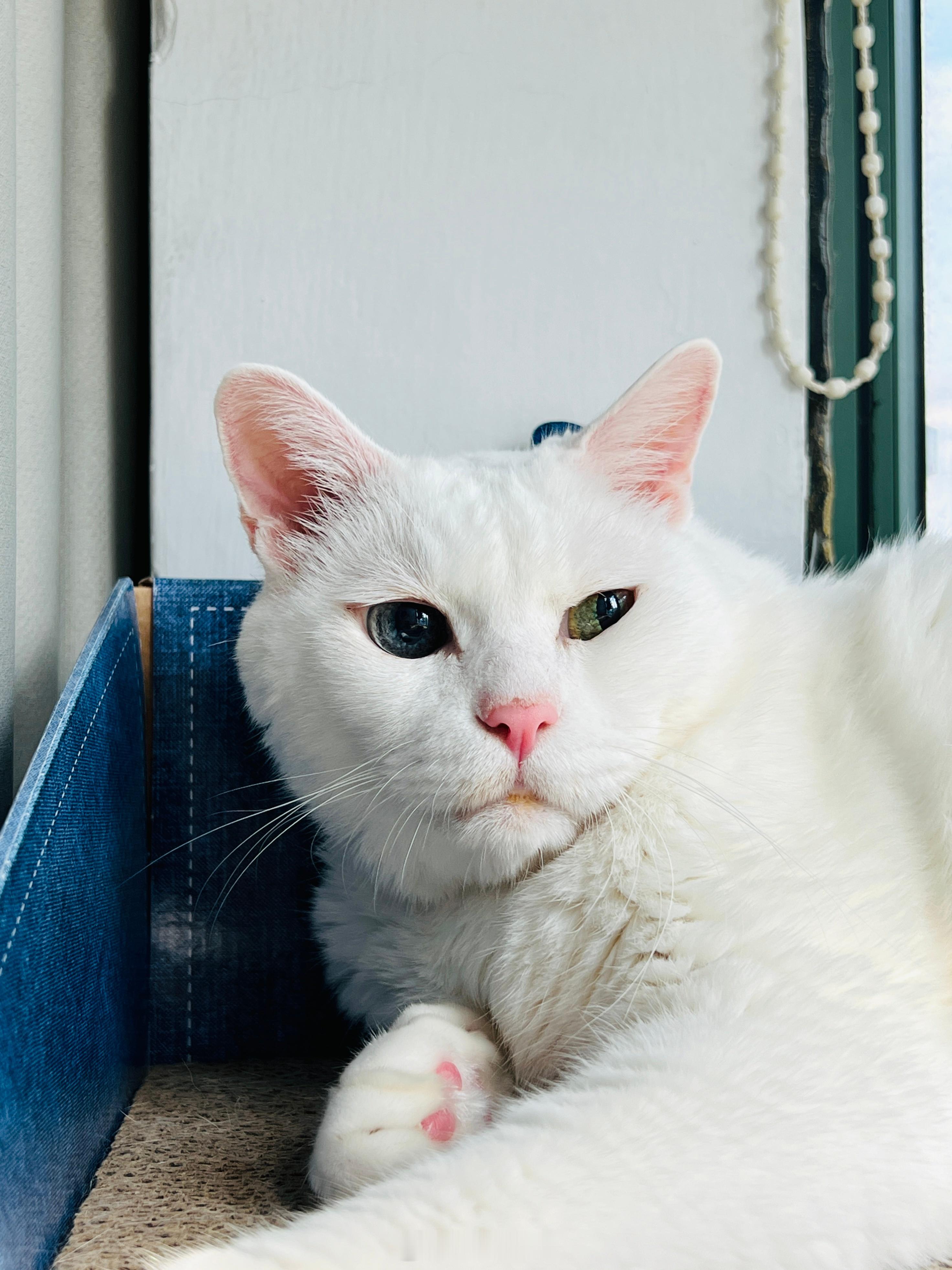 大家好！吉吉也好～ ​​​