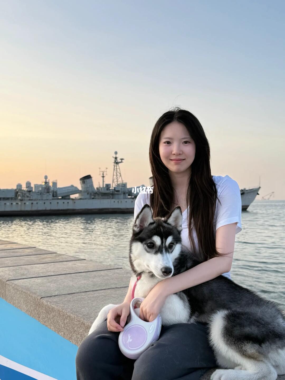 和猫猫狗狗四海为家🌊