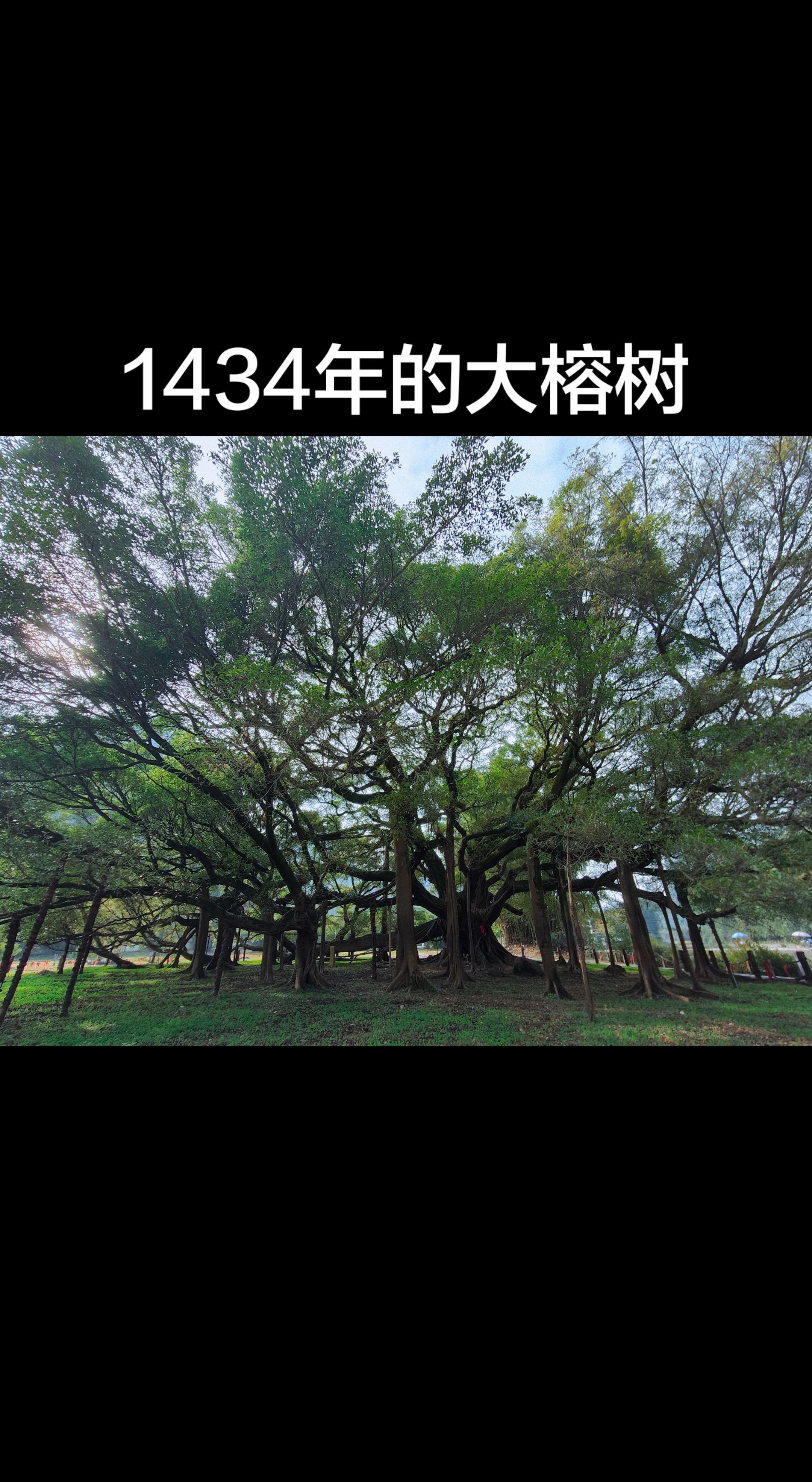 闪现桂林
