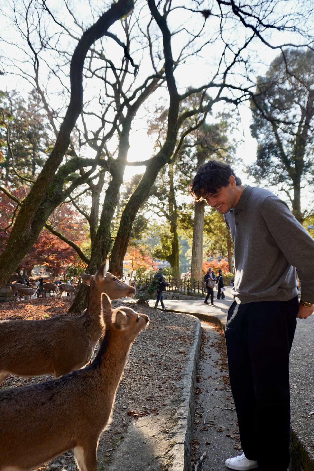 弗里茨在日本度假网坛风云
