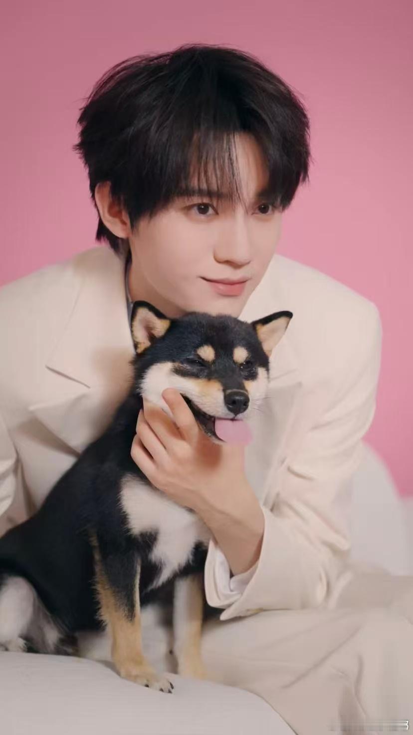 周翊然撒狗粮撒到我的心巴上 周翊然和狗狗的互动，简直是完美的示范，看到他喂食时的