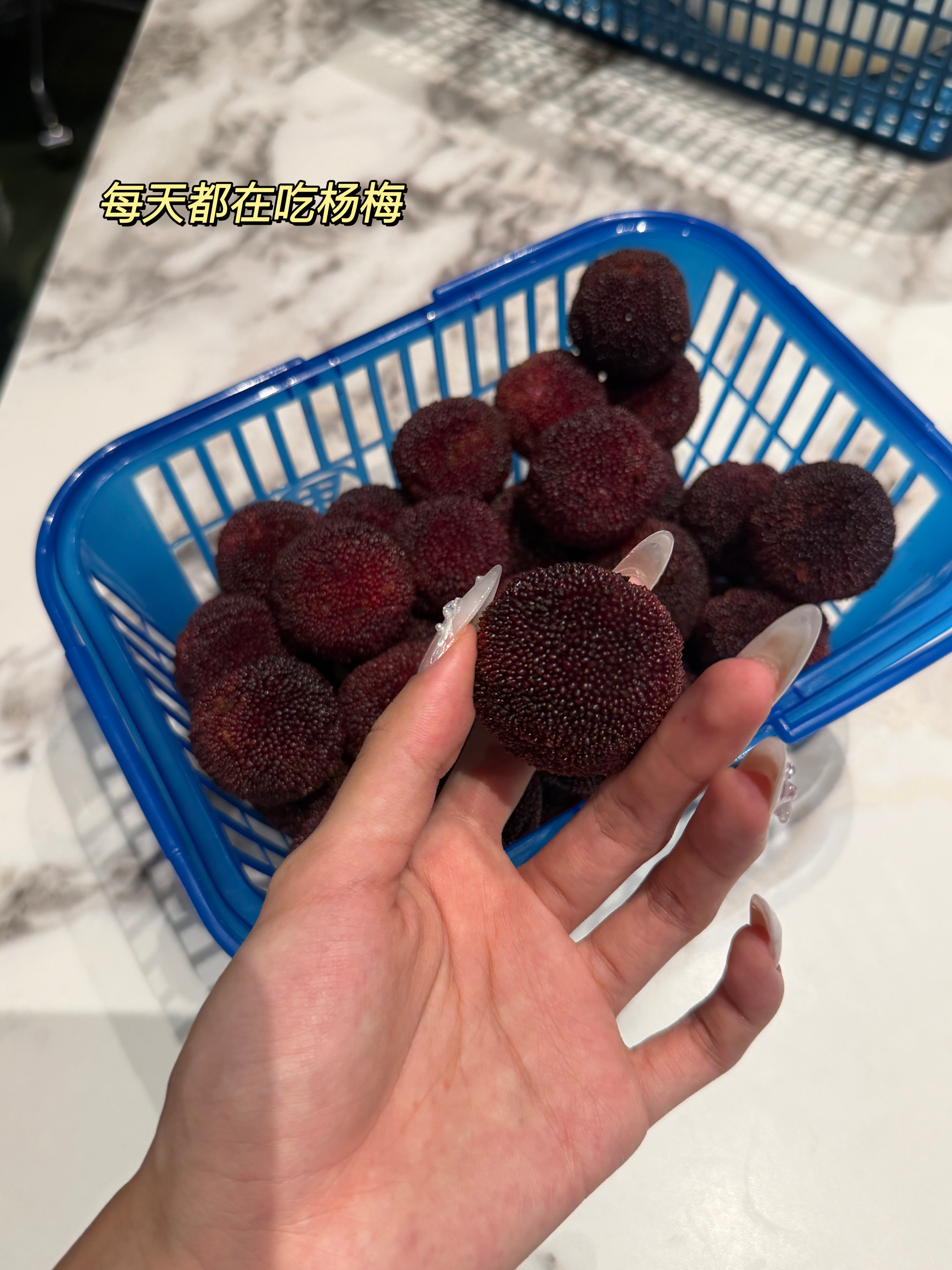端午节安康大家吃粽子了吗～ 