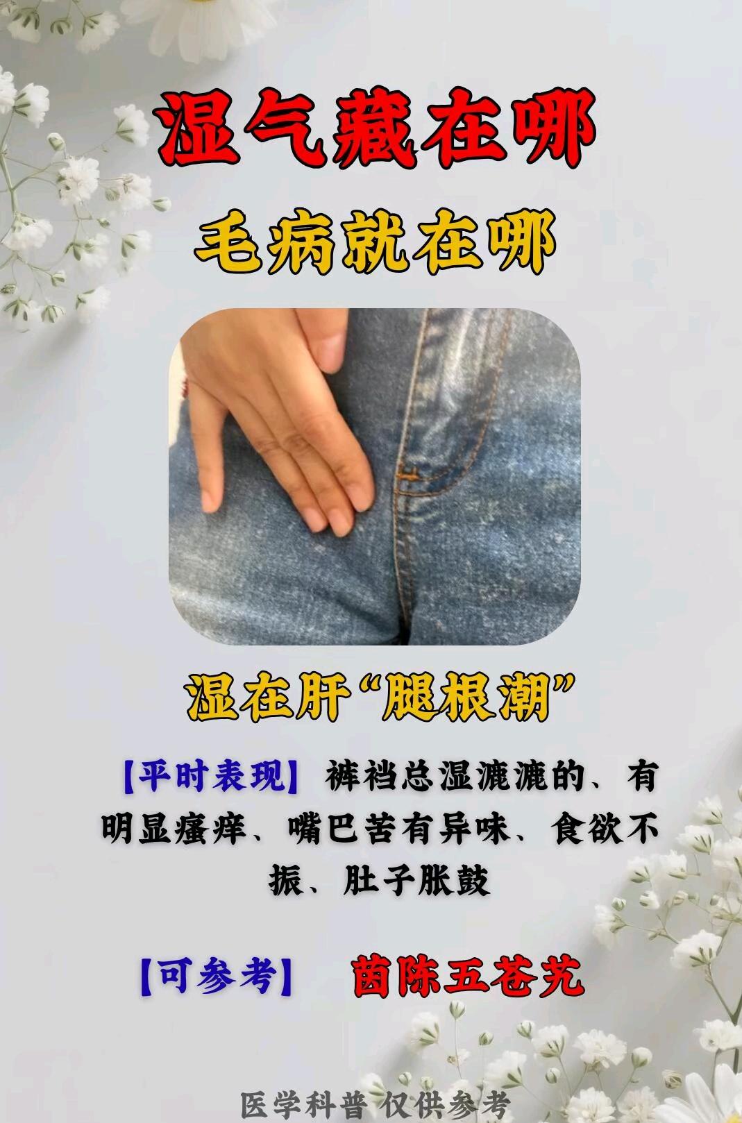 健康知识科普 湿气重的表现 养生知识分享 肚子里湿气重怎么祛除 湿热重...