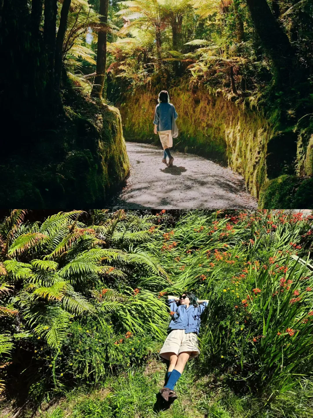 新西兰南岛双景｜霍基蒂卡峡谷+马松森湖