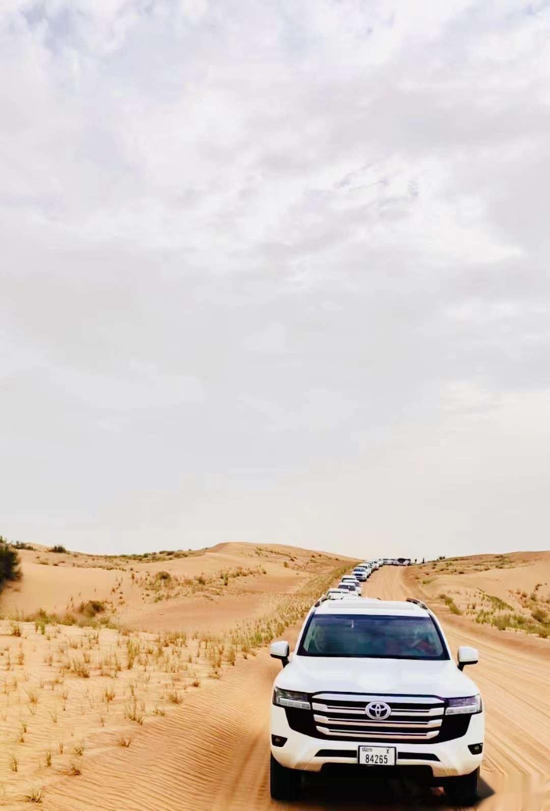 #早睡可以解决80%以上的问题# 全世界公认最健康的一日时间表推荐：早上7点：起