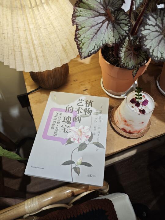 这个周末，植物是主题🌿