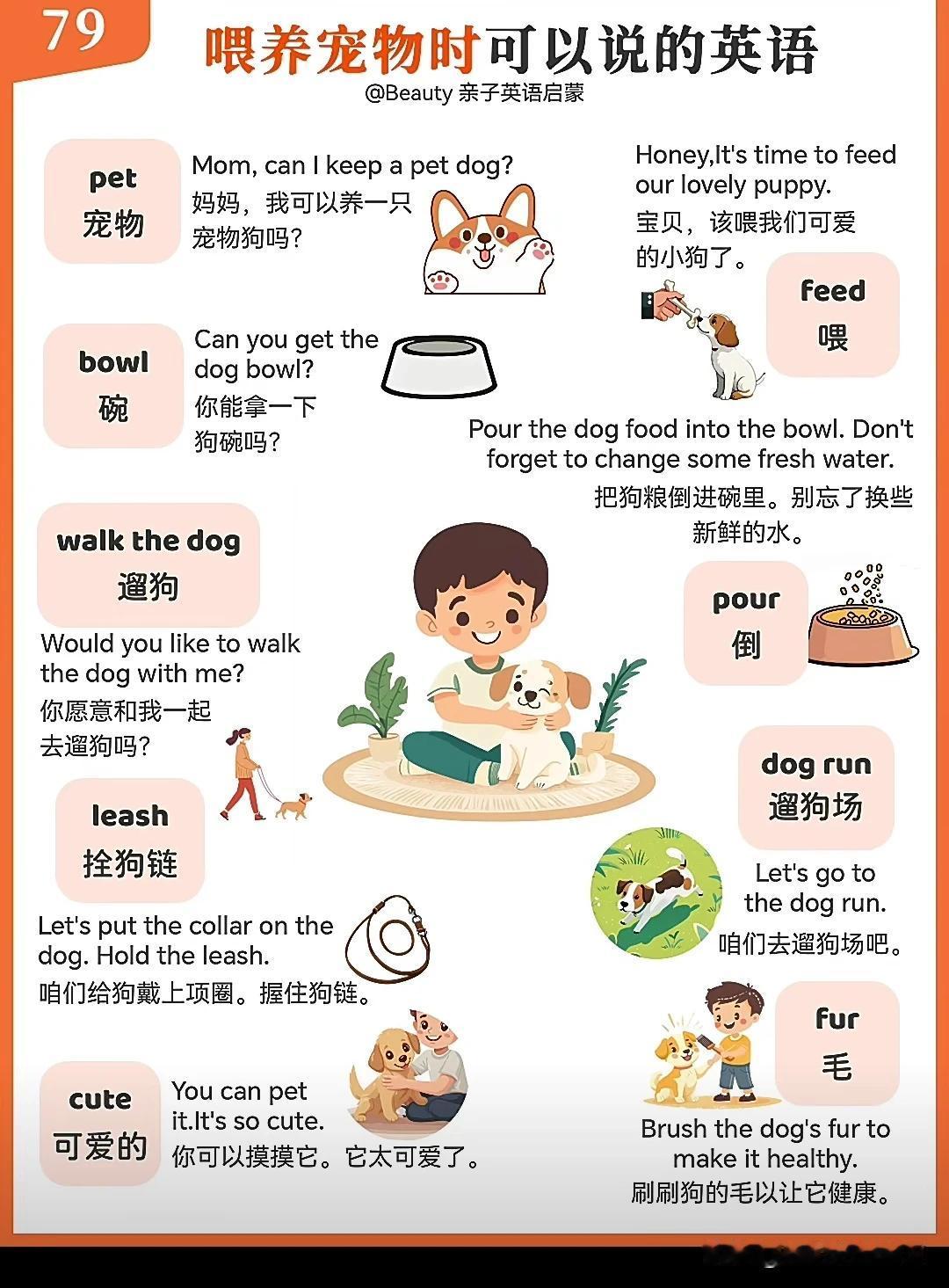 跟“为宠物”有关的英语词汇