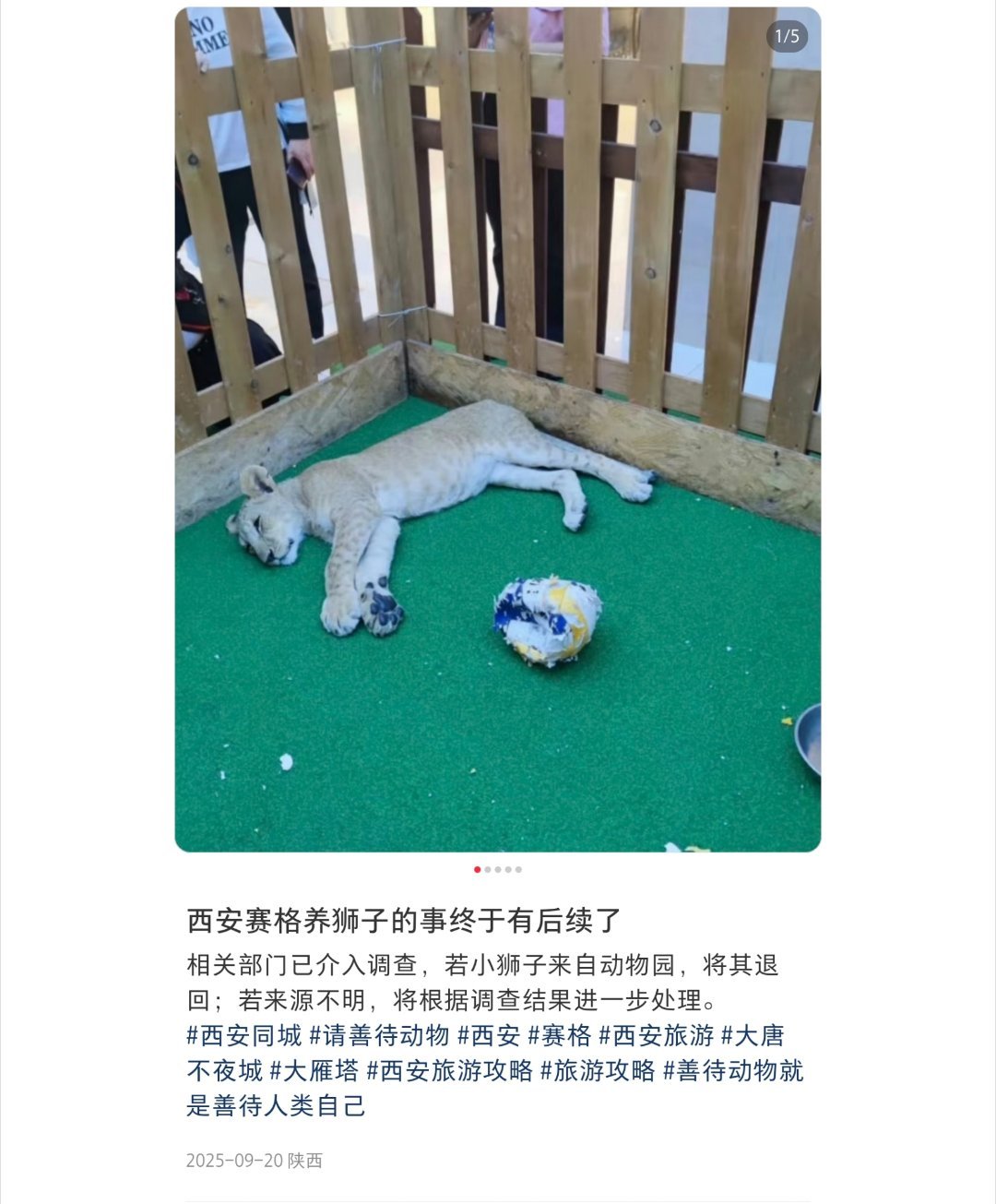 警方回应网传西安一商场有人坠楼赛格在商场里还圈养动物被抵制了好多次。。。。。。为