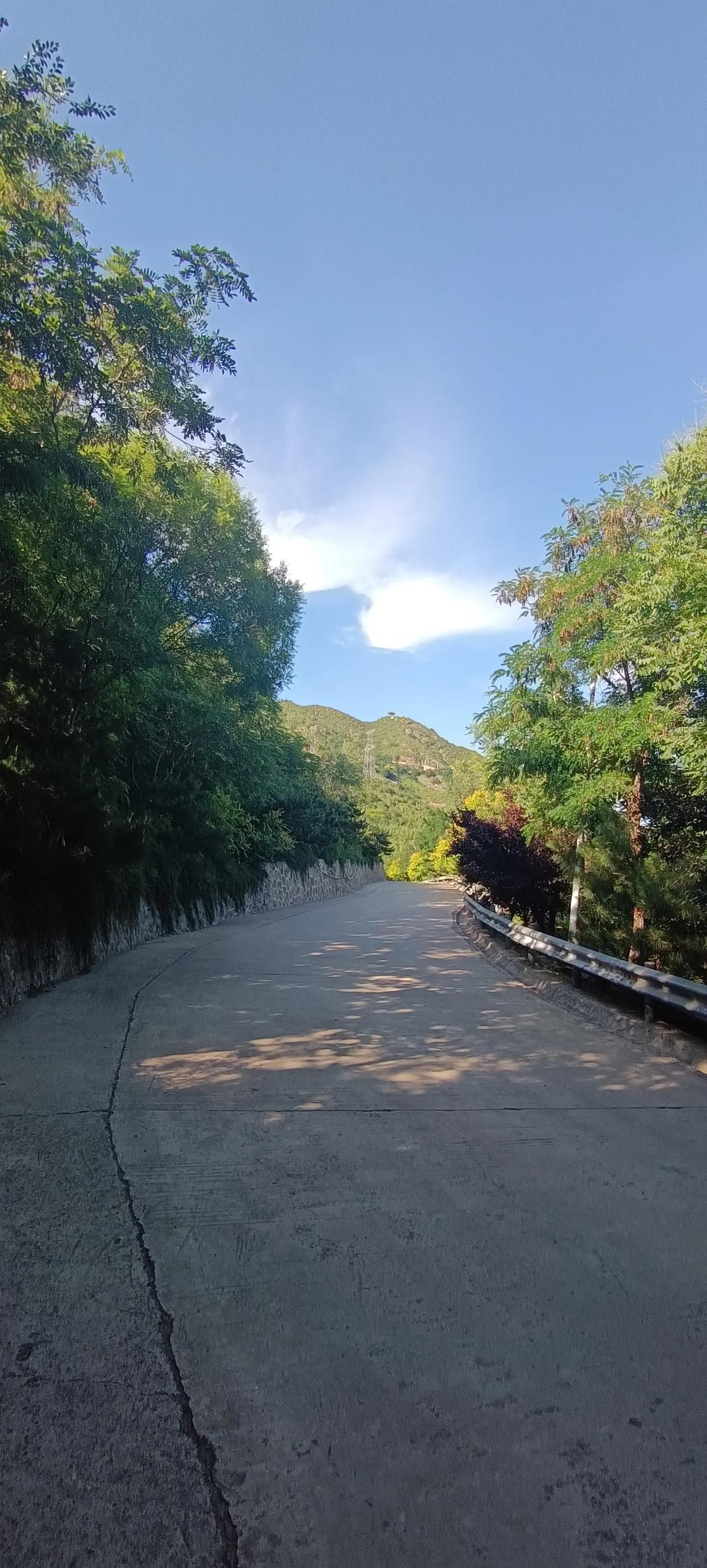 世界上也只有主持正义，坚持公理的，坚持联合国宪章和国际法准则的中国，才能提出的联