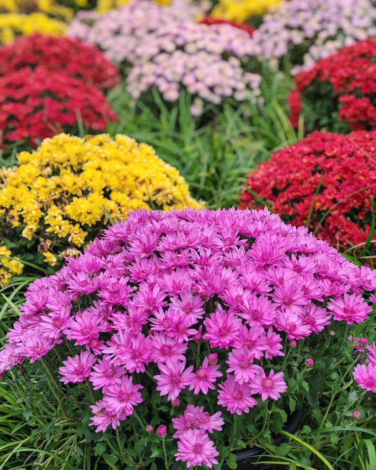 人到中年，听到的最多的一句话，就是要换一种活法！

但是，究竟是怎么一种活法，没