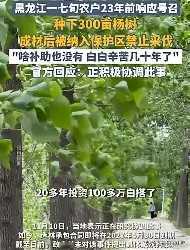 黑龙江齐齐哈尔市，72岁农妇，在23年前，种了300亩杨树，有数万颗，投资了10