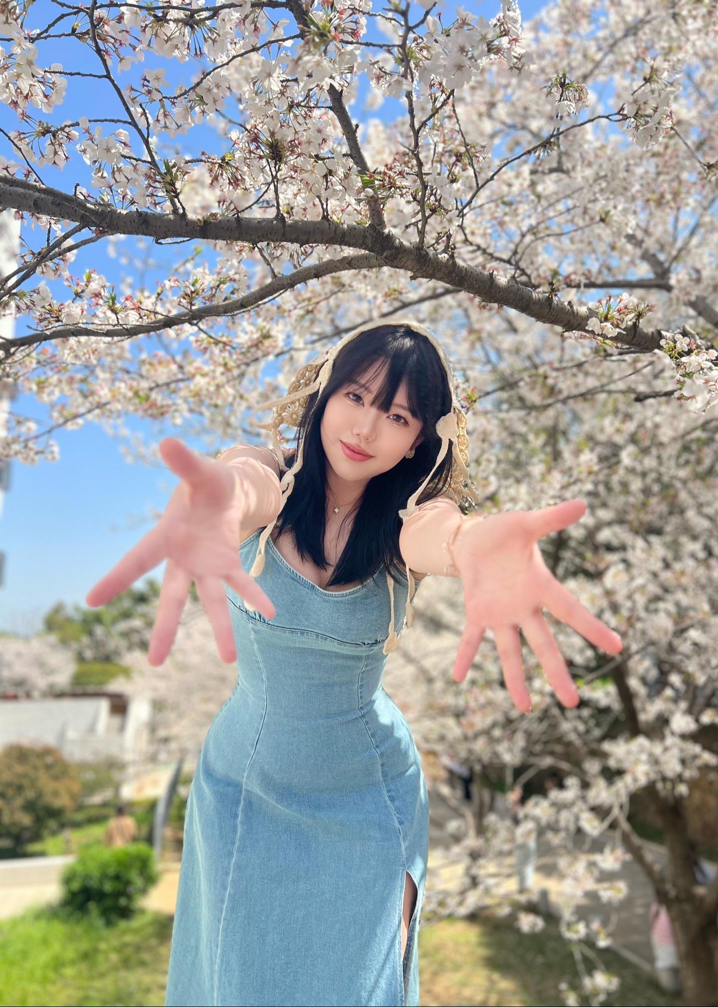 樱花🌸