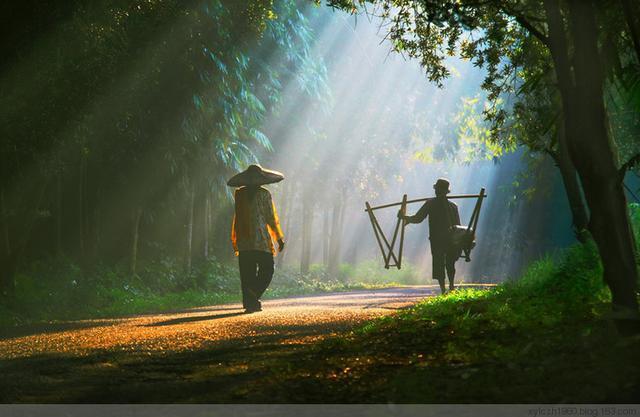 人生最高级的活法：不计较。
 
人这一辈子，过得累不累，从来不是因为生活本身，而