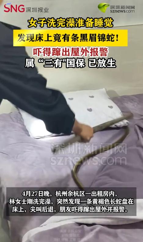 “吓死我了！”4月27日，浙江杭州，一名女子洗完澡正要休息。突然，她看到床上盘着