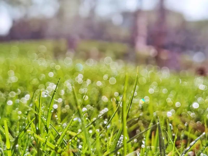 看到“细雨滋芳草”这个上联，简直绝了！雨丝细细地滋润着芳草，画面感一下就有了。我