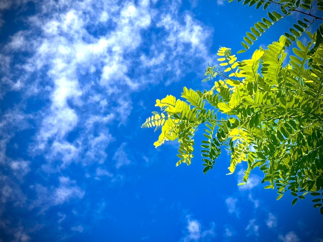 我的今日状态：😁轻松愉快
我这里的天气：☀️晴天
    空灵的白云
    