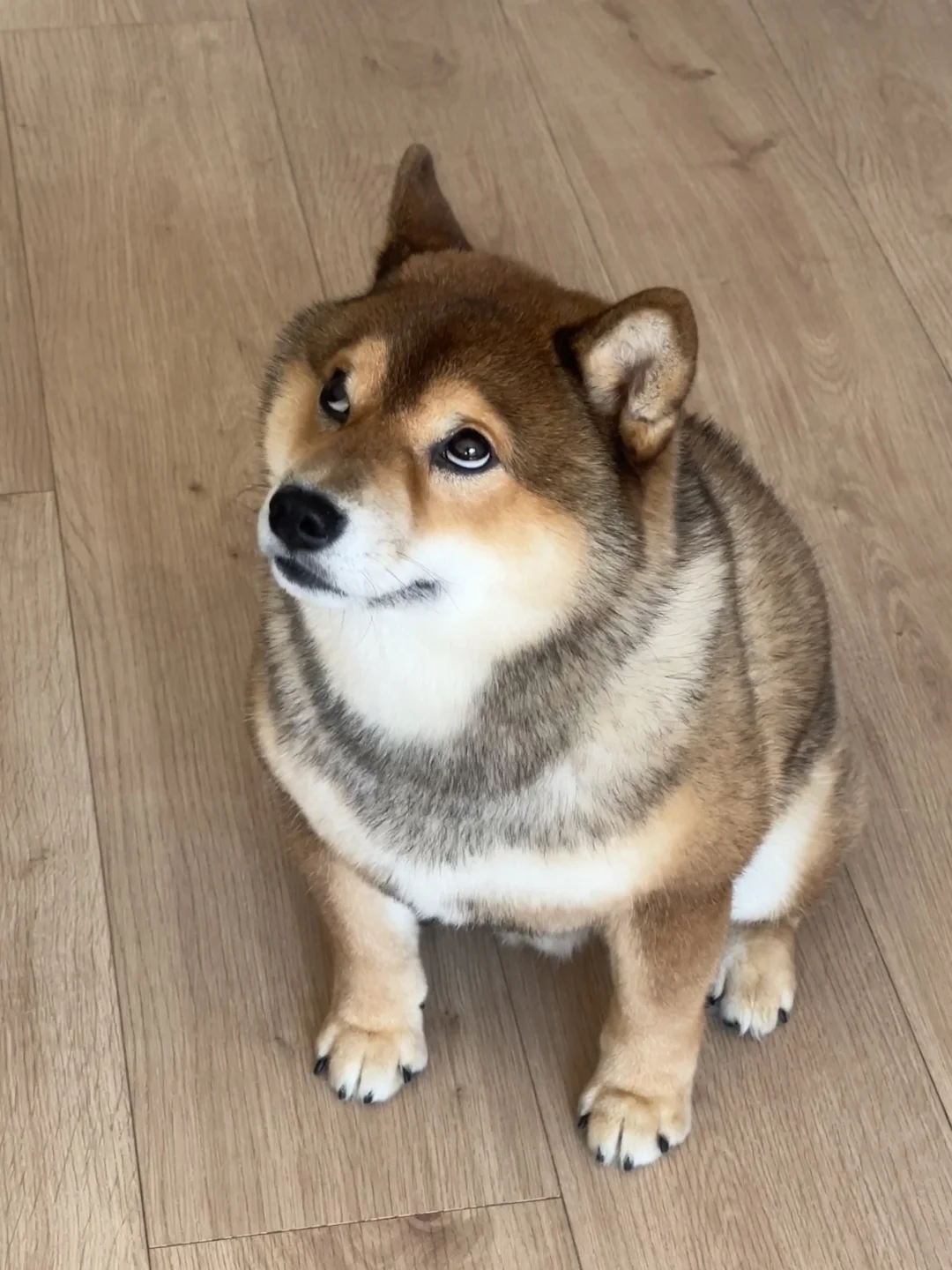 《价值不太懂，脸色略懂一些》