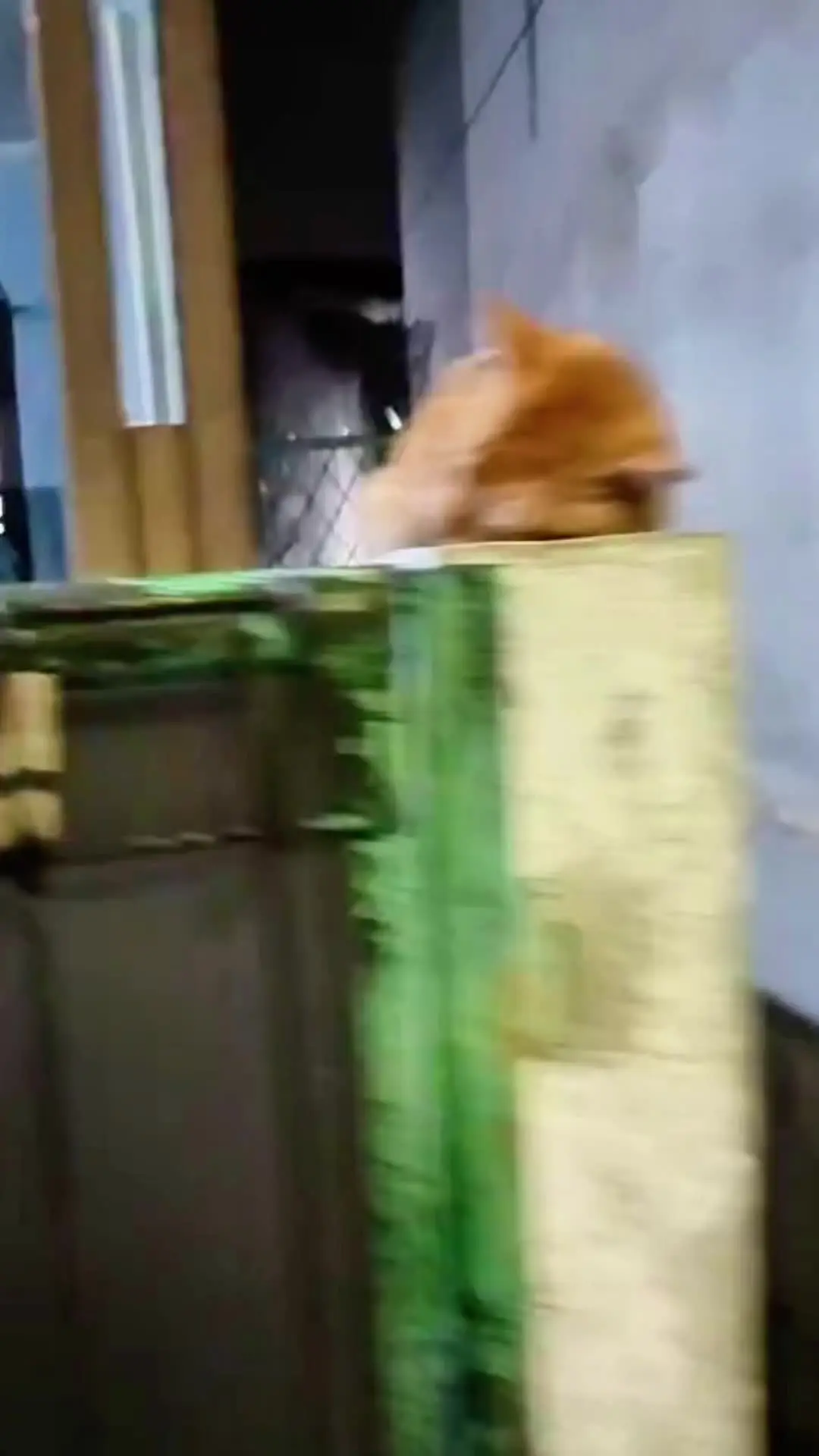 如获至宝