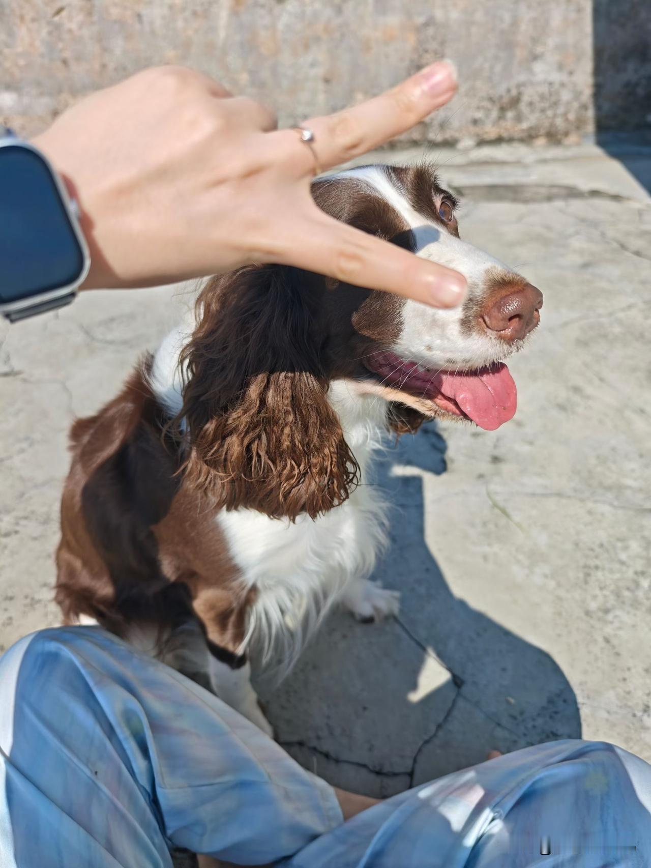 可现实是，我做着普通的工作，租着老破小，依然单身。但奇怪的是，当我看到窗外掠过的