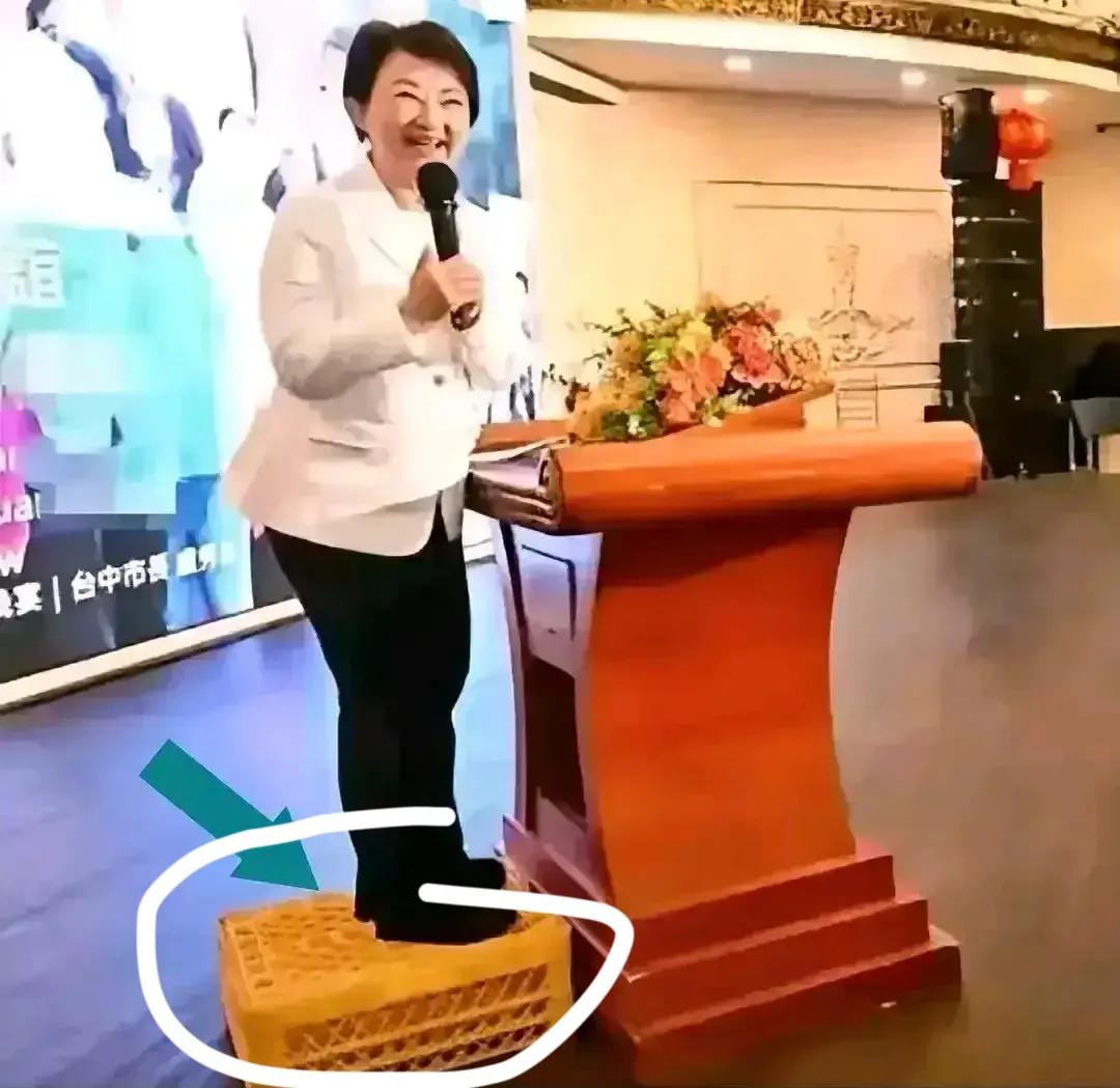 郑丽文一行14人去美国此时大概都登机了，媒体跟进，Al已小结，报道有各种不同的角