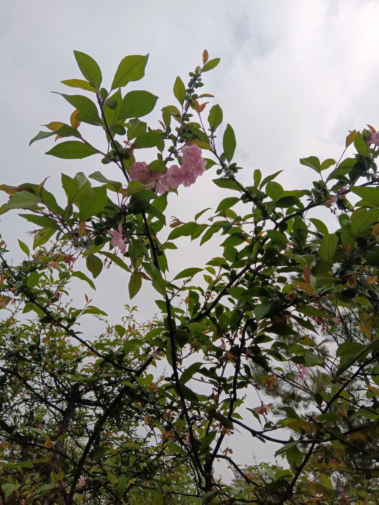 炒股要凭运气！

炒股其实大部分情况是靠运气！没谁能预测股票的涨跌！

所谓的技