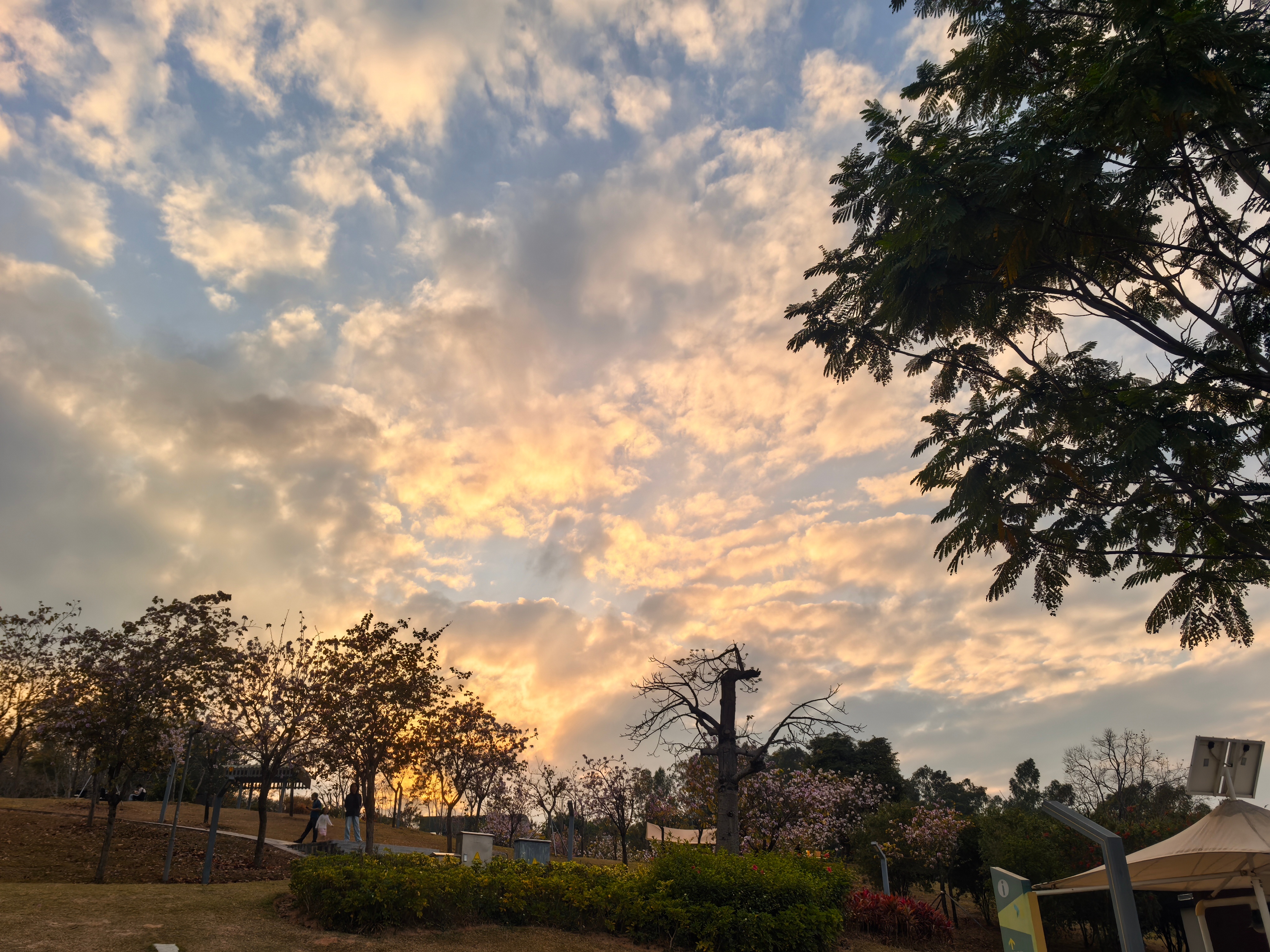 清华妈妈说对孩子只有2个要求 “我对孩子只有两个要求：坚持运动，坚持阅读。他们没