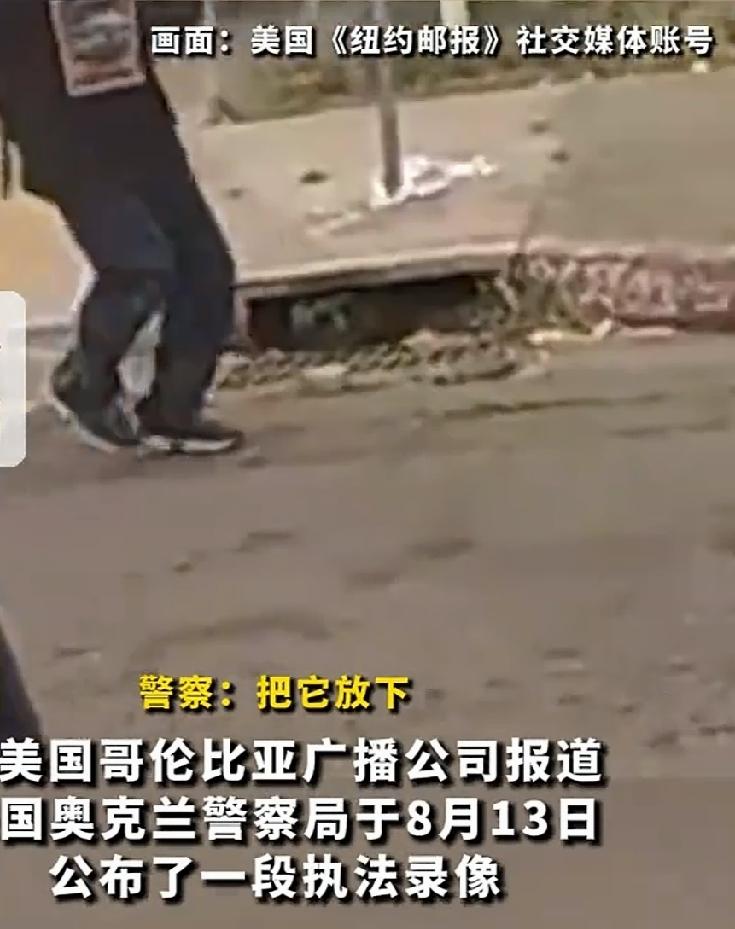 7月13日，美国奥克兰市的街头，再次响起了警察清空弹匣的枪声，43岁的男子卡斯蒂
