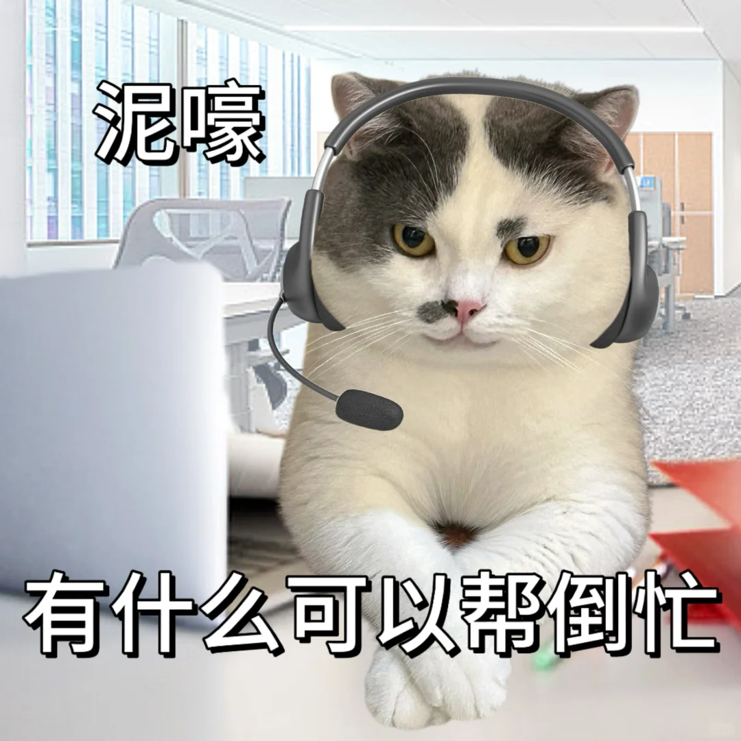 我养猫只为了做表情包