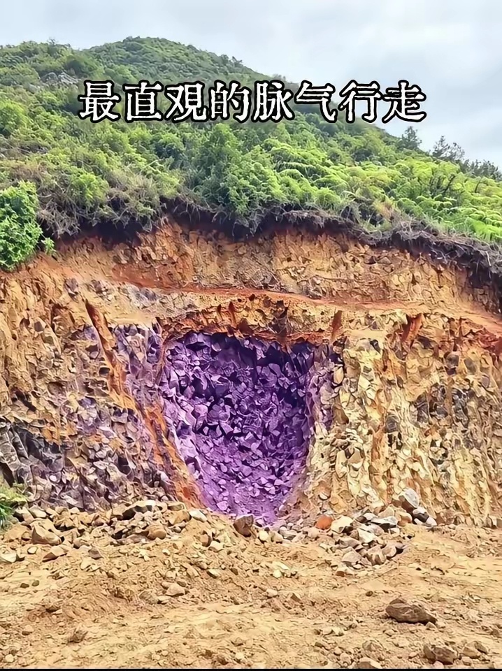自然生物有独特的结构和习性，比如蚯蚓，把它身体切断后，它还能实现分身，再生能力极