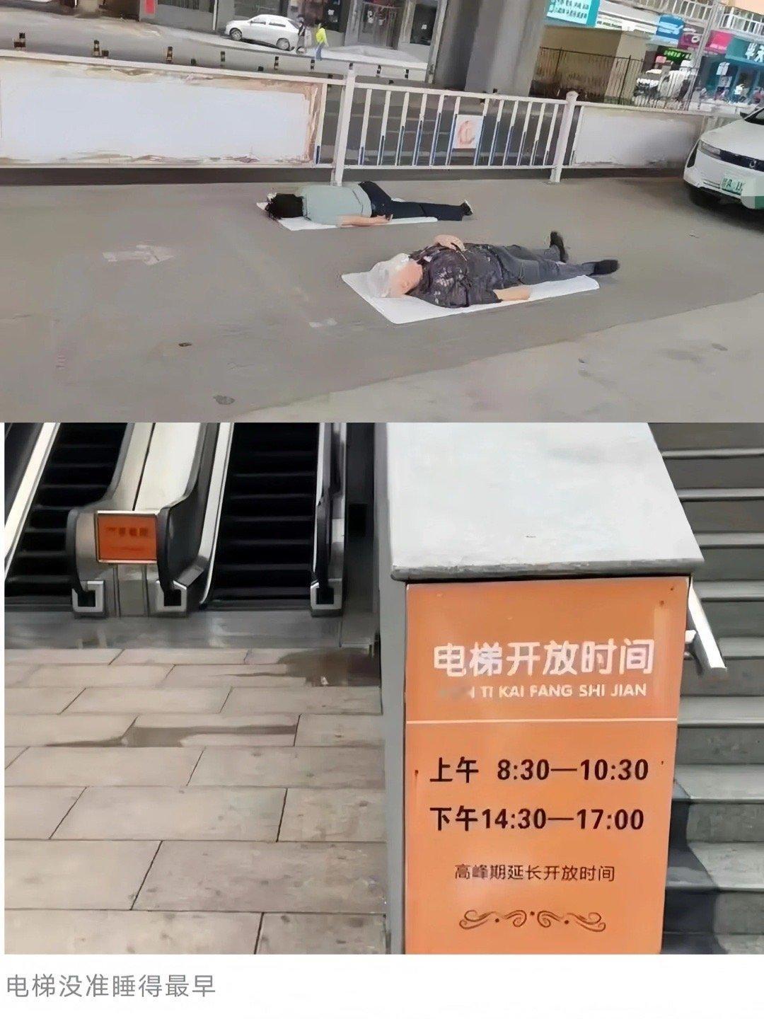 山西的午睡不分物种 ​​​