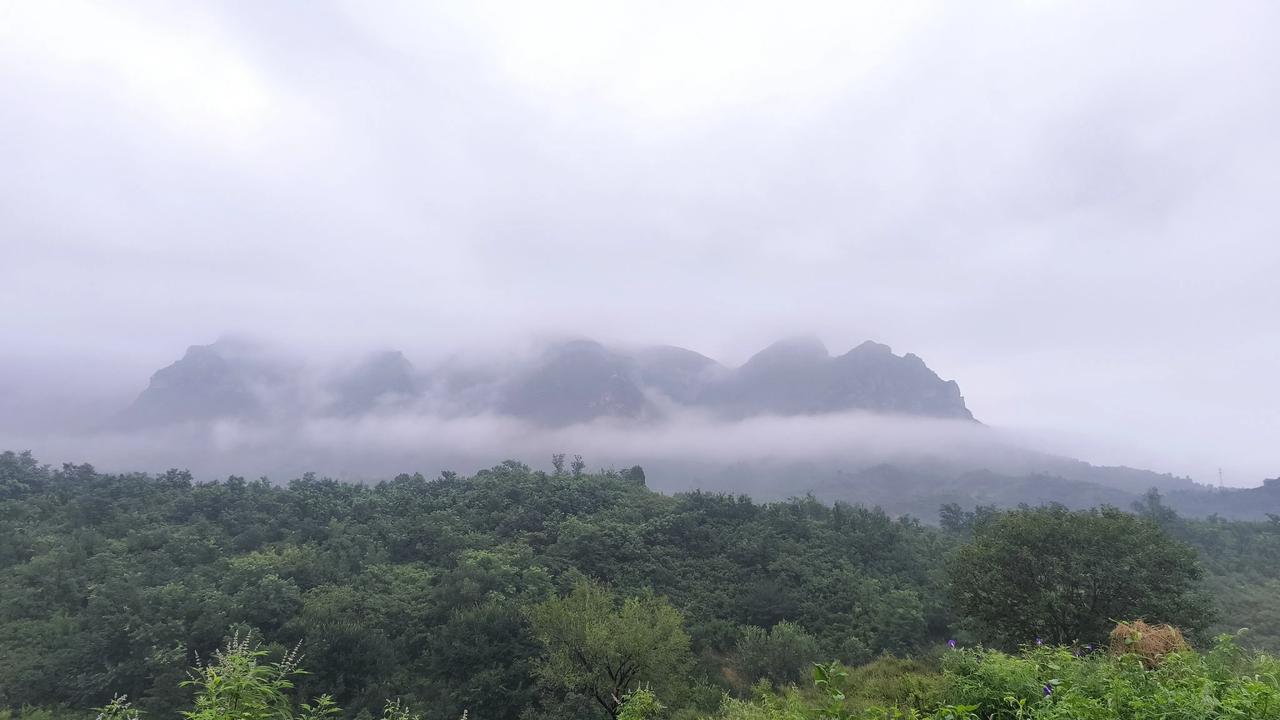 秋雨洗群山，云雾若带然。
丘壑染苍翠，山鸟鸣树颠。
仰头观雁阵，闲情听鸣泉。
路
