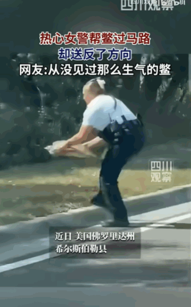 佛罗里达州不养闲人！美国佛罗里达州希尔斯伯勒县，一位善良的女警官本想救助一只过马