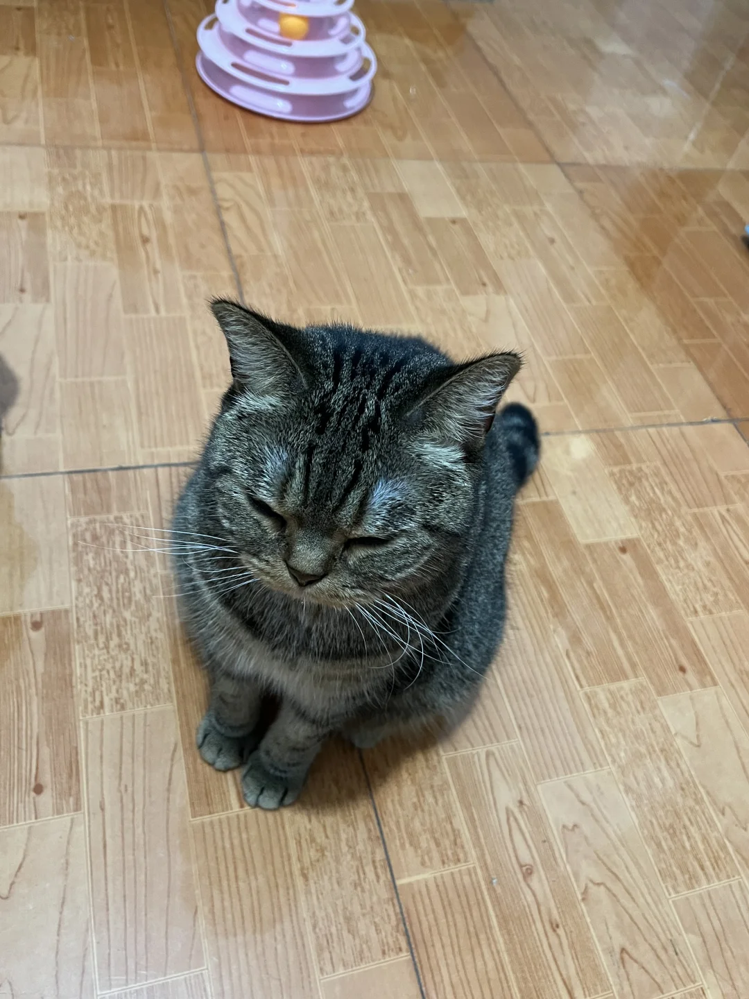 小呱困困了