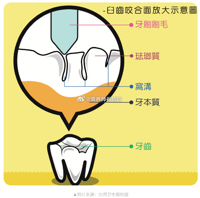 【牙齿好才能吃嘛嘛香，如何保护小宝宝的牙齿呢？】#从小涂氟真的能预防龋齿吗##如