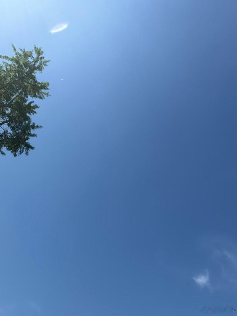 芳树日月君乱如于风。芳树不上无心。温而鹄。三而为行。临兰池。心中怀怅。心不可匡。